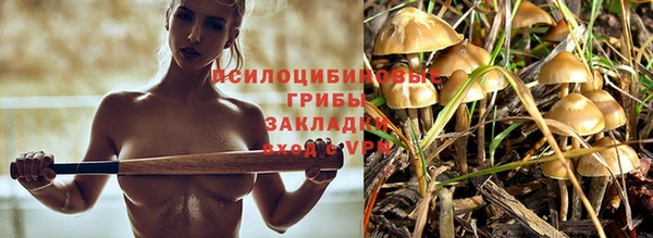 прущие крисы Абинск