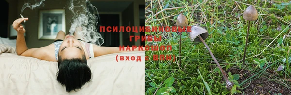 хмурый Абдулино
