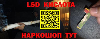 спайс Лесной