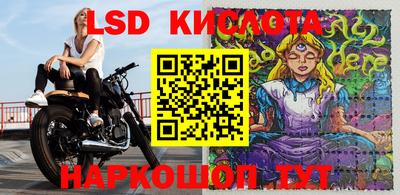 спайс Лесной