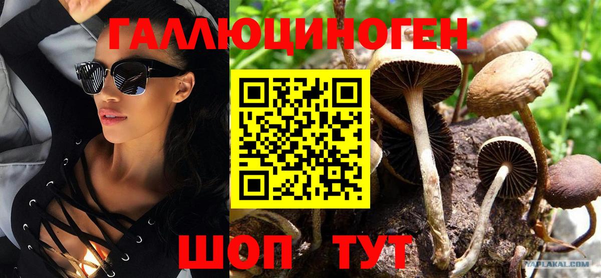 Псилоцибиновые грибы Magic Shrooms  Вход с VPN  Салават 