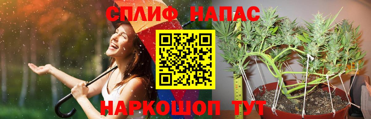 Бошки Шишки планчик Салават
